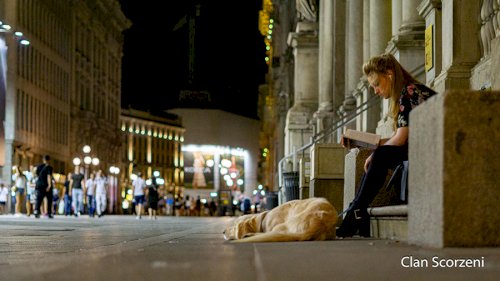 Теплый летний вечер в Милане. С собакой и книгой. / Photo: Patrizio Scorzeni