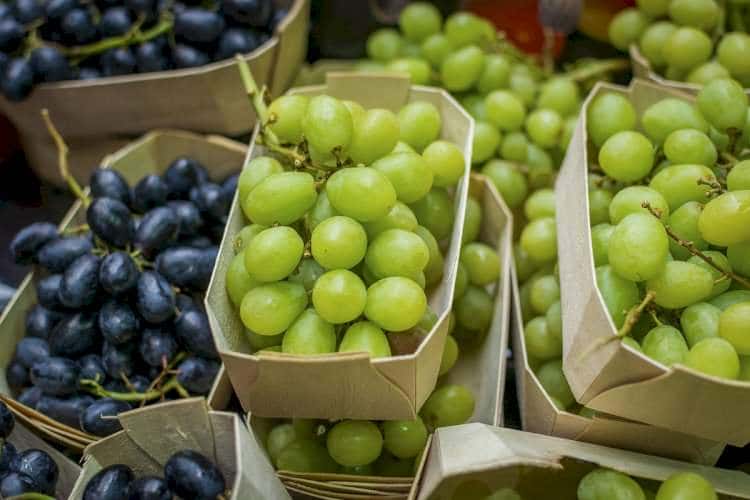 Инвестиции в итальянские виноградники