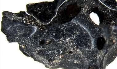 Итальянские ученые нашли стеклянный мозг