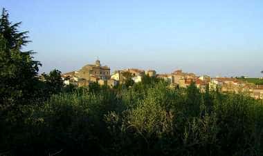 Виллальфонсина