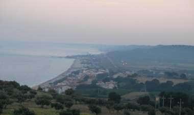 Фоссачезия