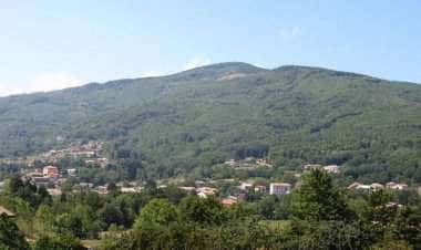 Деколлатура