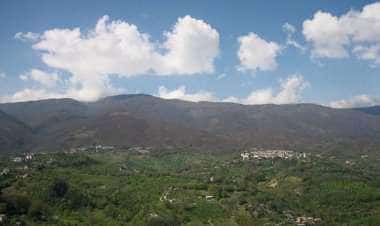 Ваккариццо-Альбанезе