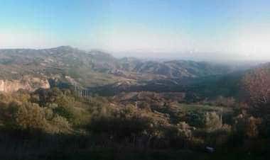 Паллагорио