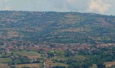 Гроттаминарда