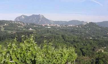 Монтефальчоне