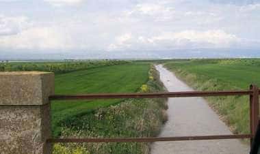 Дзаппонета