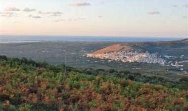 Карпино