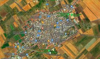 Сторнарелла