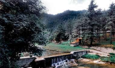 Премилькуоре