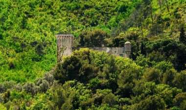 Чизано-суль-Нева