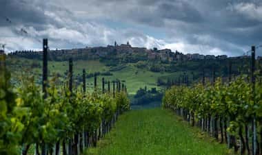 Купрамонтана