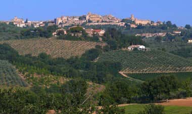 Монтефалько