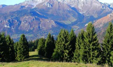 Кастьоне-делла-Презолана