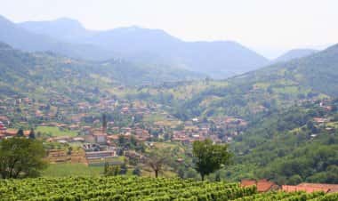 Форесто-Спарсо