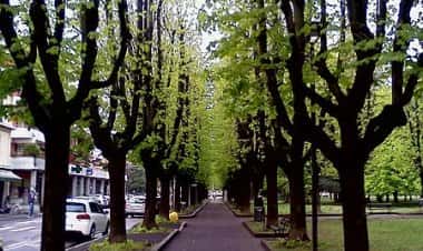 Ровелласка