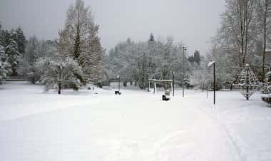 Венегоно-Супериоре