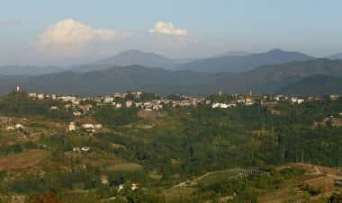 Кассинелле