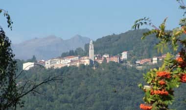 Петтиненго