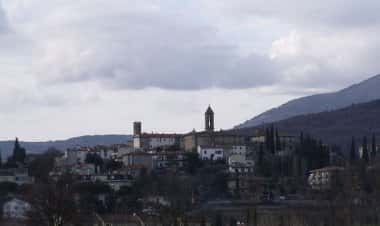 Кастильон-Фибокки