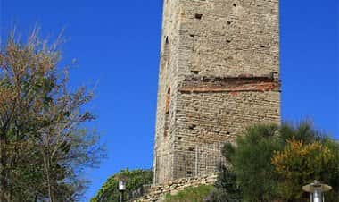 Кассинаско