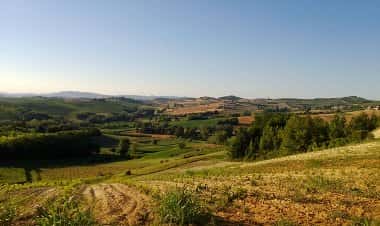 Портакомаро