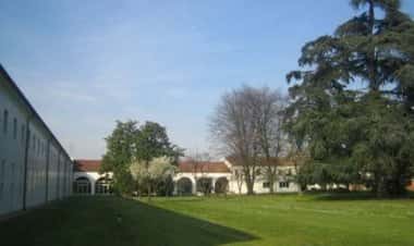 Боргорикко