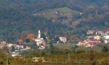 Рефронтоло