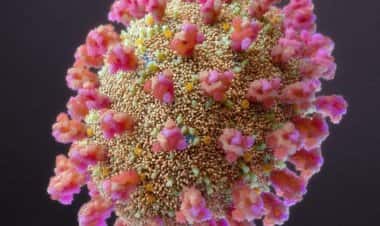 Нигерийский штамм  коронавируса в Италии