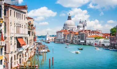 В Венецию приплыли дельфины