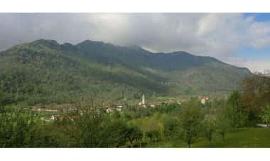 Картиньяно