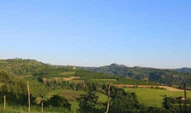 Монтелупо-Альбезе