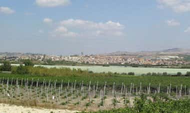 Кастрофилиппо