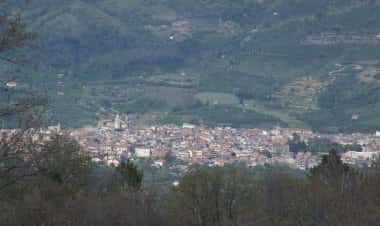 Лингуаглосса