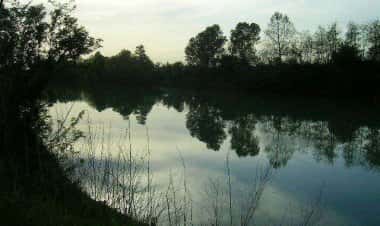 Новента-ди-Пьяве