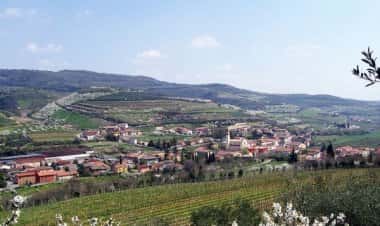 Каццано-ди-Траминья