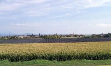 Альбаредо-д’Адидже