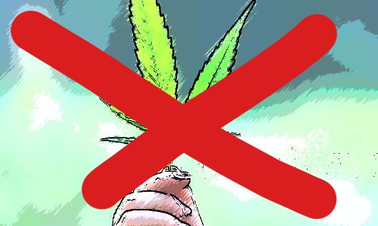 Референдум о легализации марихуаны в Италии невозможен