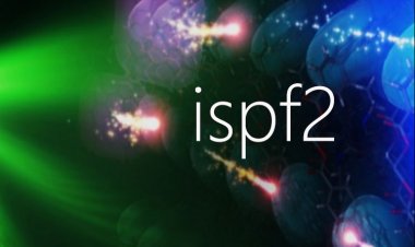 Симпозиум по синглетному делению и синтезу фотонов в Италии