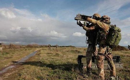 17- й зенитный артиллерийский полк «Сфорцеска»