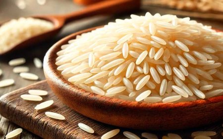 Карнароли —  сорт итальянского риса