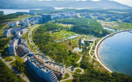 Vladivostok: La Porta Orientale della Russia